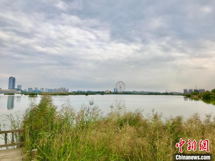 讓塞上江南變得更美:寧夏持續(xù)推進(jìn)黃河流域生態(tài)保護(hù)科技創(chuàng)新