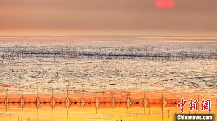 江蘇鹽城被譽為金灘銀蕩、魚米之鄉(xiāng)。　鹽城市委宣傳部供圖