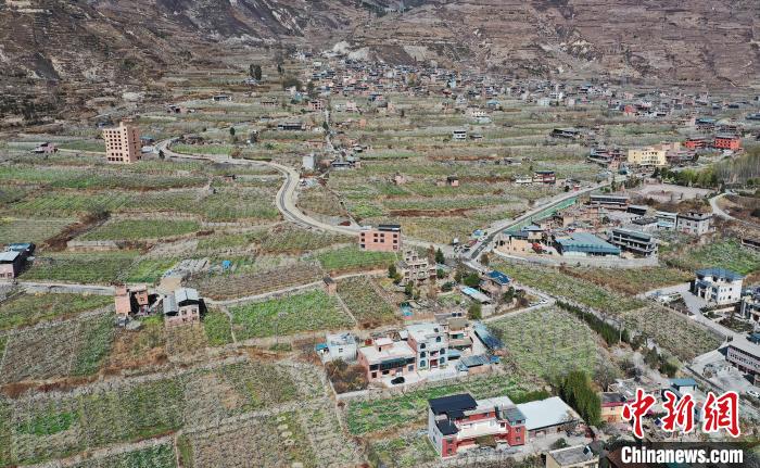 潔白的李花與村寨交相輝映，勾勒出一幅美麗的和諧生態(tài)畫(huà)卷?！『吻搴?攝