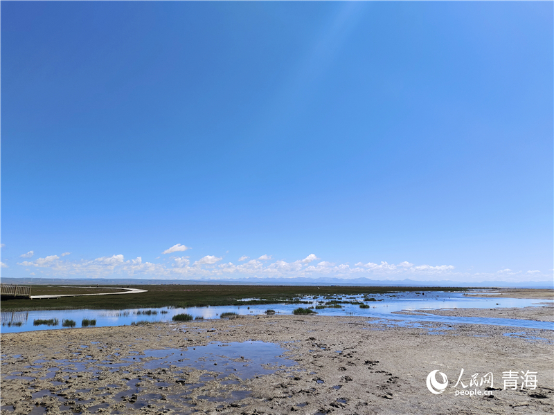   青海湖仙女灣。人民網(wǎng) 張莉萍攝