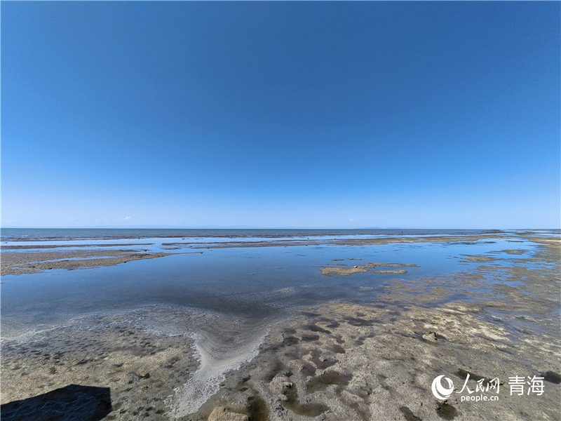   青海湖仙女灣。人民網(wǎng) 張莉萍攝