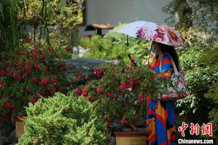 圖為市民在西寧園林植物園內(nèi)賞花拍照?！●R銘言 攝