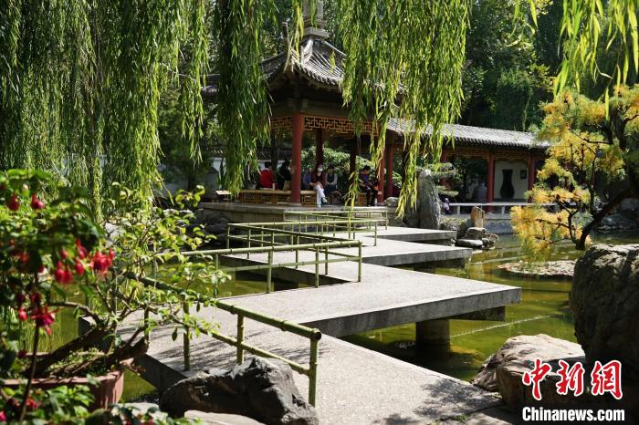 圖為西寧園林植物園秋日風景別有韻味?！●R銘言 攝