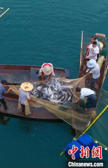 捕魚現(xiàn)場?！≈鬓k方供圖