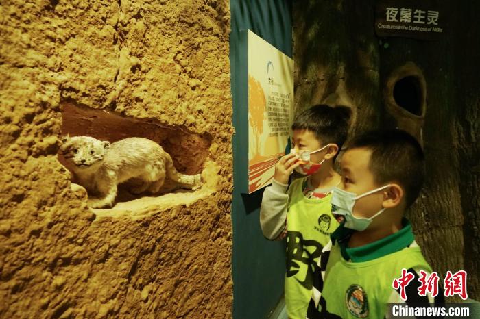 圖為小朋友在青海西寧湟水國(guó)家濕地公園科普館內(nèi)參觀學(xué)習(xí)?！●R銘言 攝