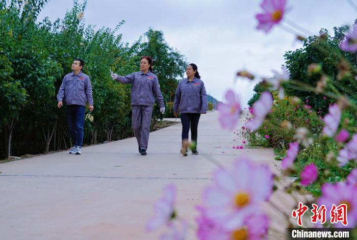 圖為張錦梅(中)與同事在西寧北山查看丁香樹?！●R銘言 攝