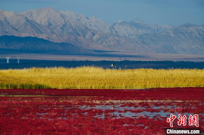 圖為柴達(dá)木盆地可魯克湖?！」?攝
