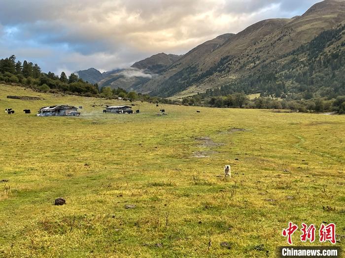 圖為9月27日新沾牧場的早晨景色。 <a target='_blank' href='/'><p  align=