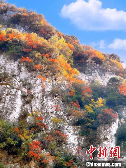 彩林色彩斑斕?！≈炱桨?攝