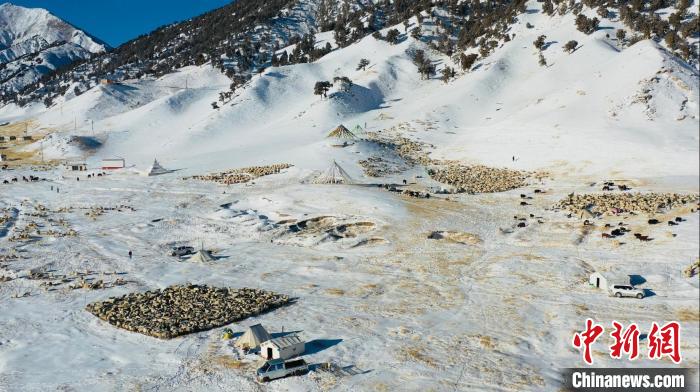 圖為無(wú)人機(jī)航拍牧場(chǎng)。　都蘭縣融媒體中心供圖