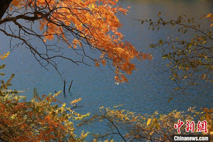 松坪溝風(fēng)光。　劉通 攝