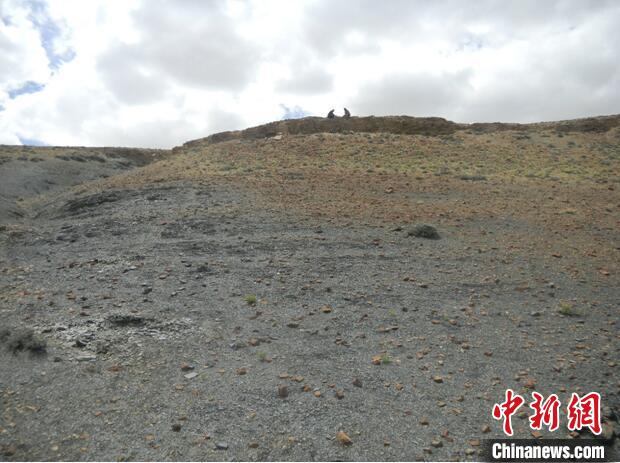 圖為本次研究的藏南曲布剖面二疊紀末期黑色頁巖。　南古所 供圖