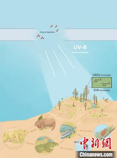 臭氧層破壞引起的紫外線輻射增加對陸地食物鏈的影響?！∧瞎潘?供圖