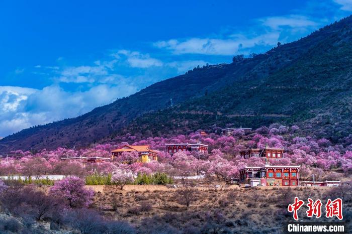 美麗的鄉(xiāng)村畫卷?！『涡秀?攝