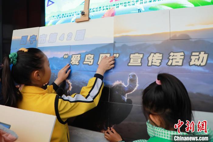 圖為學(xué)生通過拼圖游戲了解鳥類知識(shí)。　馬銘言 攝