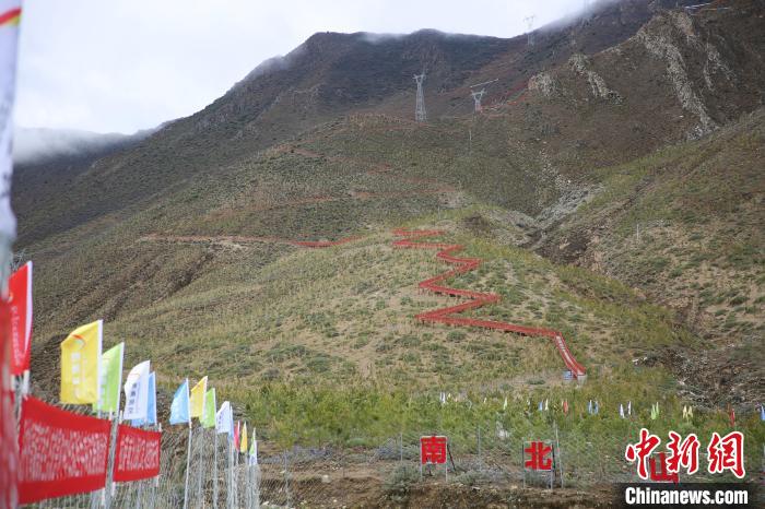 圖為拉薩南北山綠化工程拉薩曲水縣才納村5號(hào)片區(qū)?！∝暣_ 攝