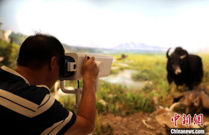 圖為臺(tái)商觀(guān)看祁連山國(guó)家公園生態(tài)科普館內(nèi)生態(tài)場(chǎng)景?！⊙Φ?攝