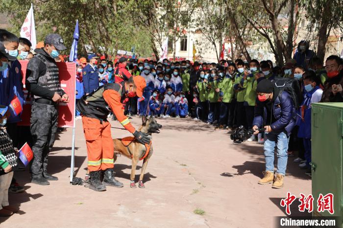 圖為搜救犬服從和箱體搜救演練。　趙琳 攝