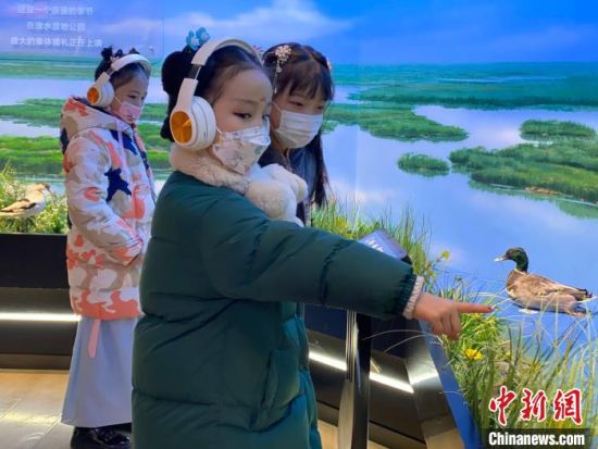 圖為學(xué)生在西寧市第一中學(xué)濕地科普宣教館內(nèi)參觀?！±罱瓕?攝