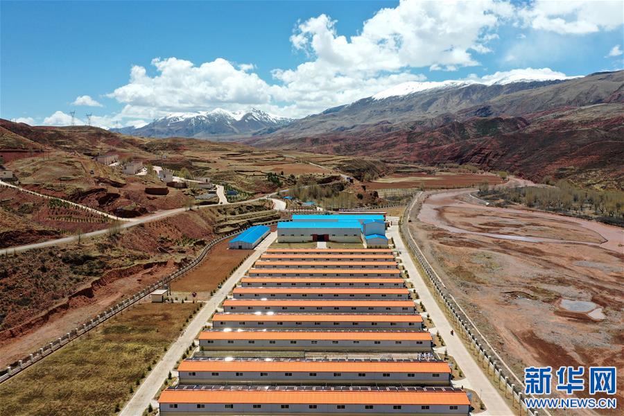 (決戰(zhàn)決勝脫貧攻堅(jiān)·圖文互動)(4)“阿旺綿羊”成就大產(chǎn)業(yè)——西藏貢覺縣做大做強(qiáng)扶貧產(chǎn)業(yè)見聞