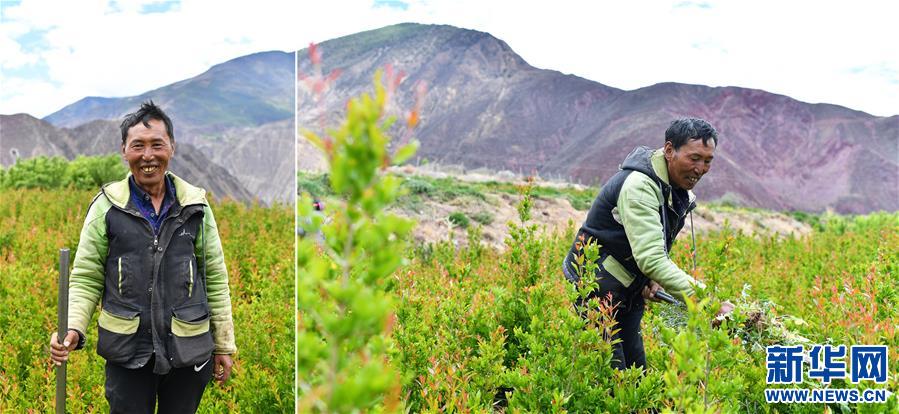 (脫貧攻堅(jiān)·圖片故事)(7)雪域高原脫貧影像志