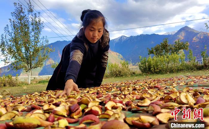 圖為通麥村村民巴桑拉姆晾曬切片蘋(píng)果?！∝暽＠?攝
