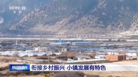 種蘑菇、養(yǎng)駱駝...。。特色產業(yè)助力鄉(xiāng)村振興走新路