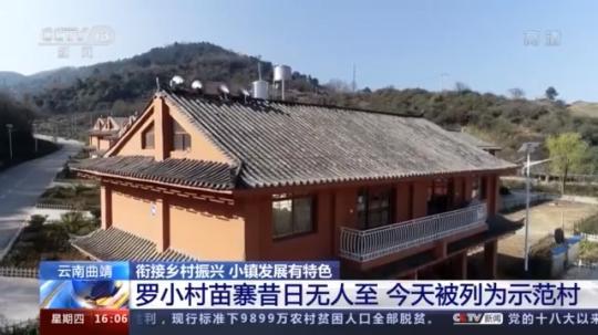 種蘑菇、養(yǎng)駱駝...。。特色產(chǎn)業(yè)助力鄉(xiāng)村振興走新路