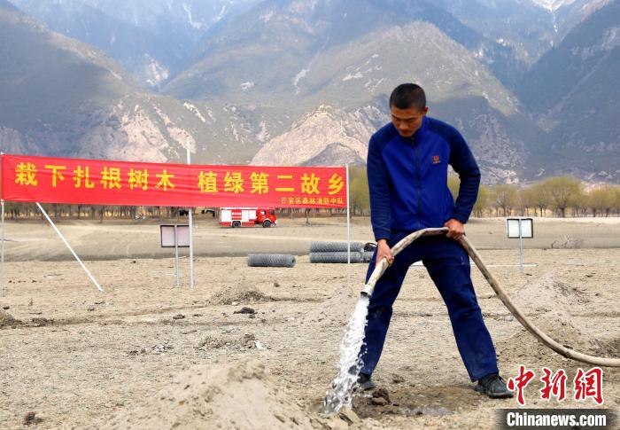 林芝市巴宜區(qū)森林消防中隊(duì)志愿服務(wù)隊(duì)澆水灌溉。　西繞拉翁 攝