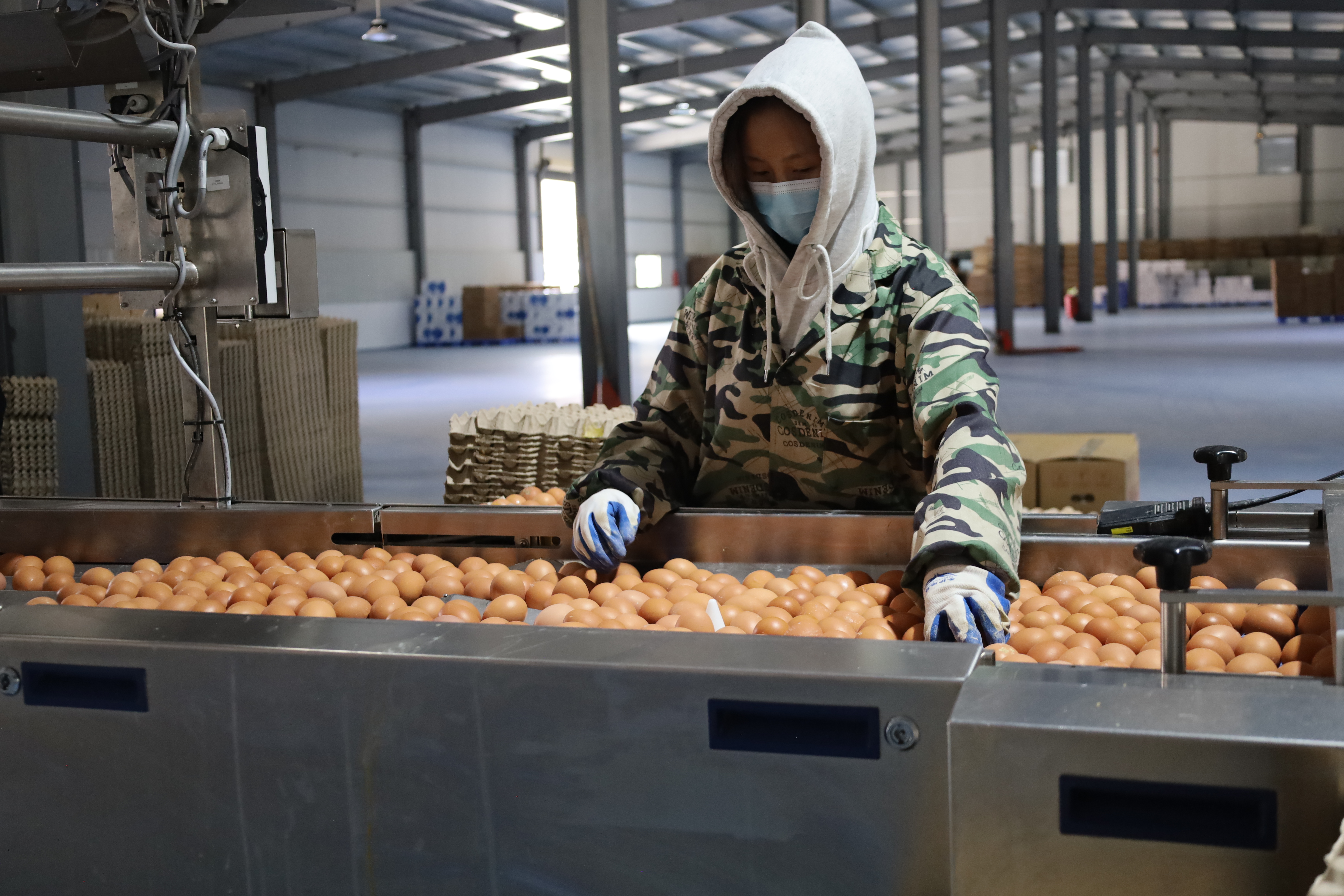 IMG_8785.jpg IMG_8785.jpg