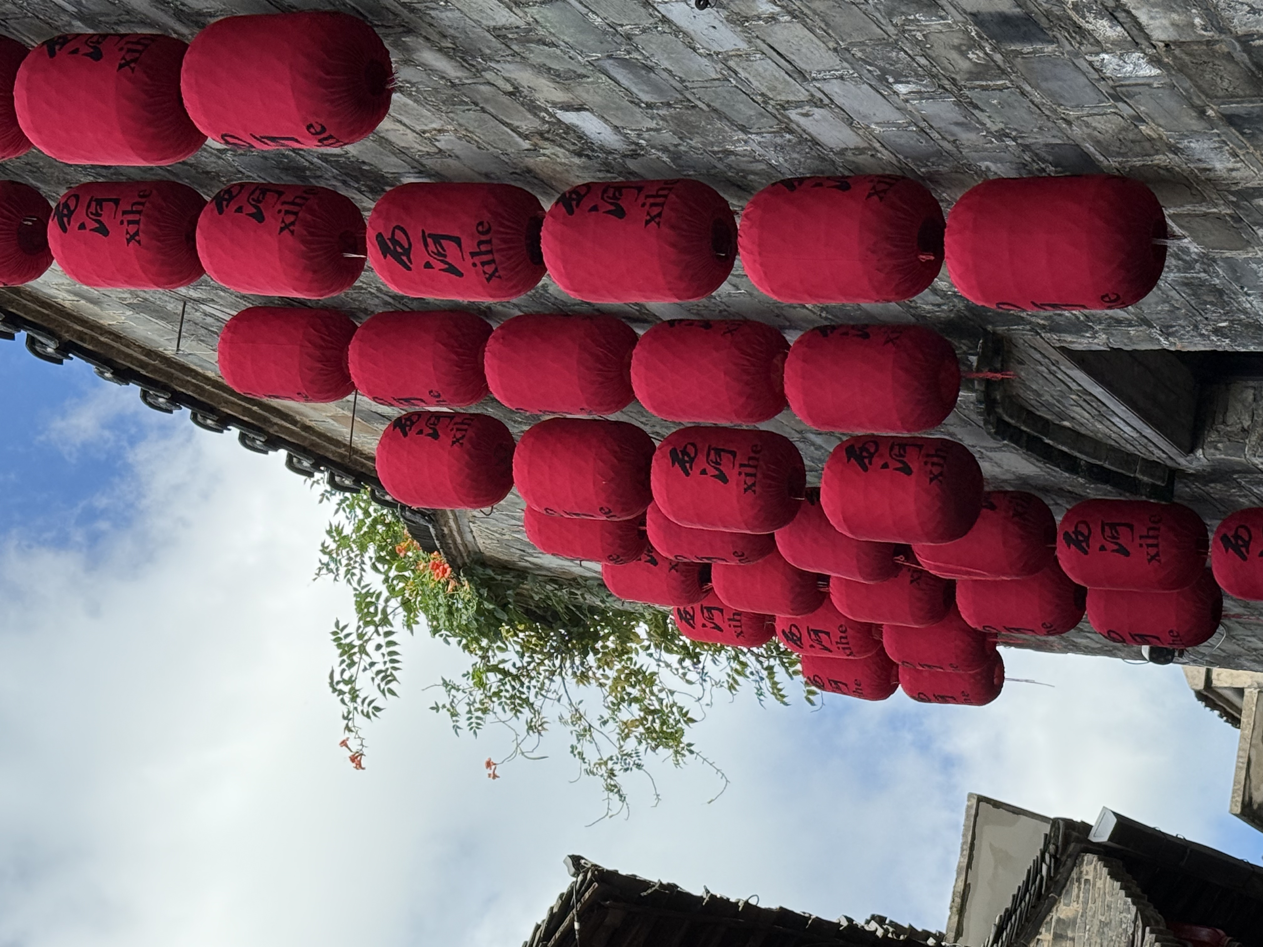 【2024打卡中國(guó)】外國(guó)網(wǎng)紅打卡蕪湖西河古鎮(zhèn) 品“江南水鄉(xiāng)”古韻長(zhǎng)(組圖)