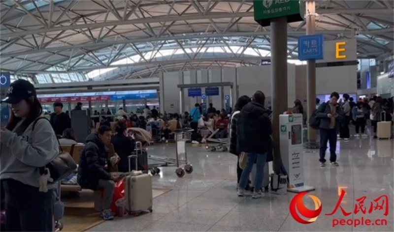 11月29日，繁忙的仁川機(jī)場。人民網(wǎng) 李帆攝
