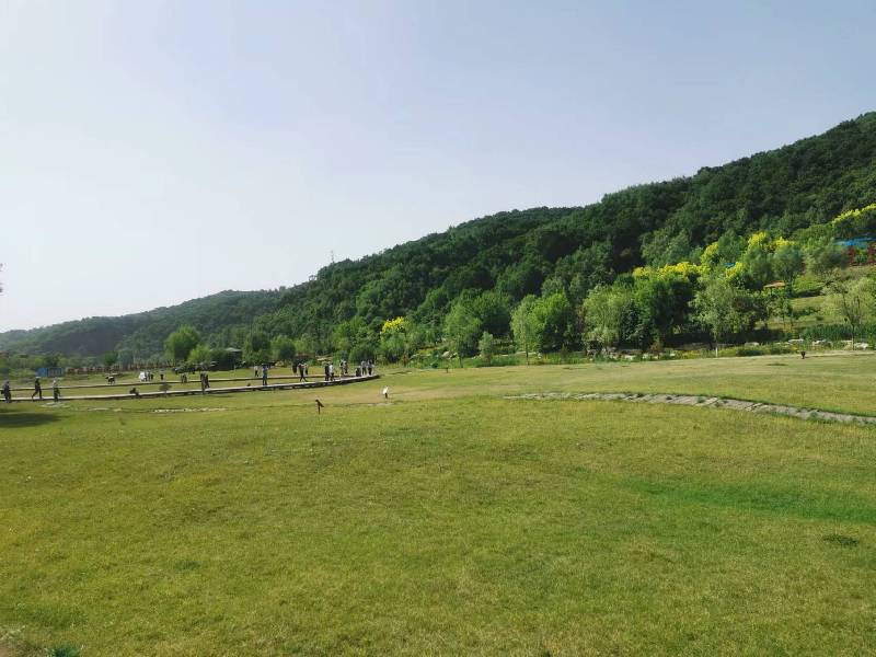 【高質量發(fā)展調研行】延安:“紅”與“綠”交相輝映