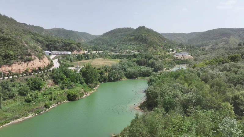 【高質量發(fā)展調研行】延安:“紅”與“綠”交相輝映