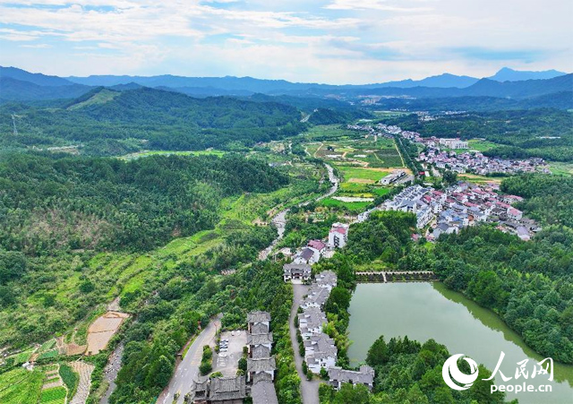 資溪縣森林資源豐富，森林覆蓋率達(dá)87.7%，有林地資源168萬(wàn)畝。人民網(wǎng) 朱海鵬攝