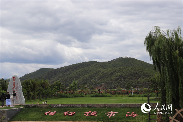 麗江市拉市海景區(qū)。 人民網(wǎng)記者 程浩攝