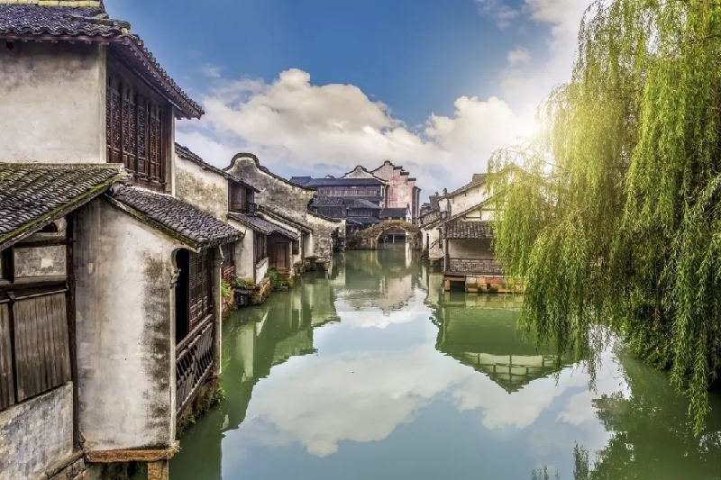 烏鎮(zhèn)動(dòng)觀察｜這個(gè)字，牽起國際交流互鑒之紐帶