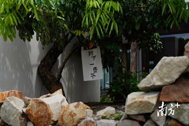 崖口村內(nèi)的文藝民宿。