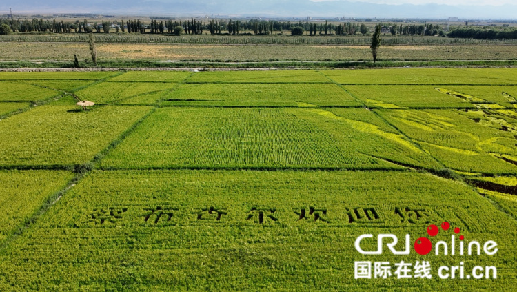 圖片默認標題_fororder_圖片1