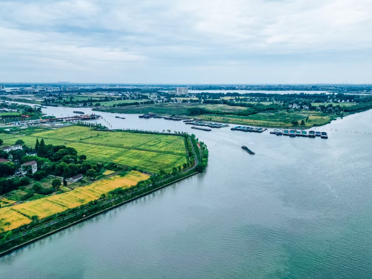 太浦河沿岸好風(fēng)光。吳橫軒攝