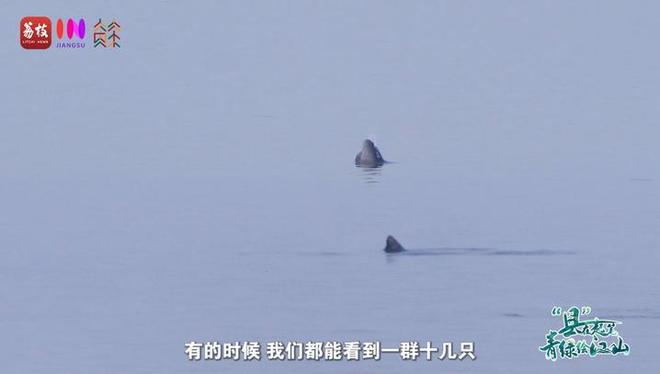 “縣”在起筆 青綠繪江山 | 江灣沐曉：褪去“銹色”走“金線”，繡出生態(tài)與產(chǎn)業(yè)“雙面錦”