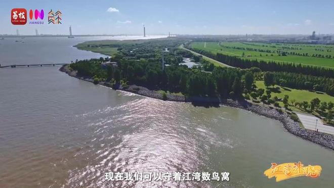 “縣”在起筆 青綠繪江山 | 江灣沐曉：褪去“銹色”走“金線”，繡出生態(tài)與產(chǎn)業(yè)“雙面錦”