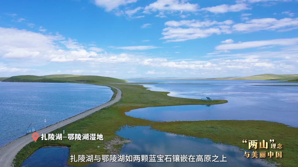 “兩山”理念與美麗中國丨濕地與候鳥，一場歲歲年年的相守