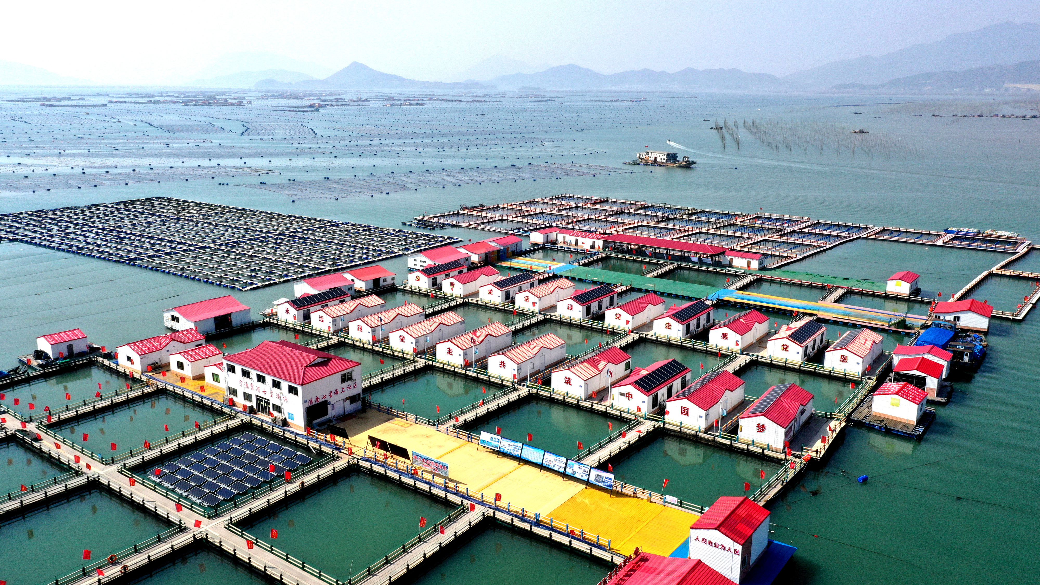 2024年3月20日，福建省寧德市，霞浦縣溪南鎮(zhèn)七星村漁排養(yǎng)殖示范區(qū)，漁民駕駛養(yǎng)殖船進(jìn)行海參養(yǎng)殖作業(yè)。