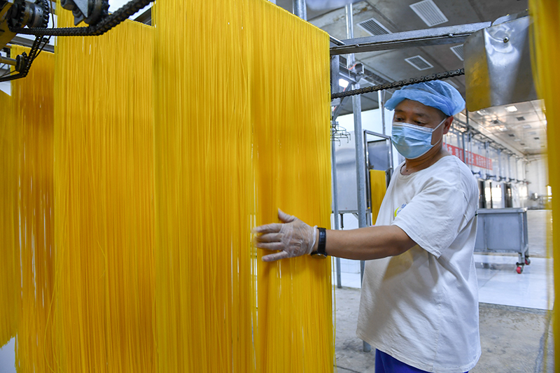 2024年1月25日，在吉林省公主嶺市的一家公司車間，工人查看玉米面條生產(chǎn)情況。
