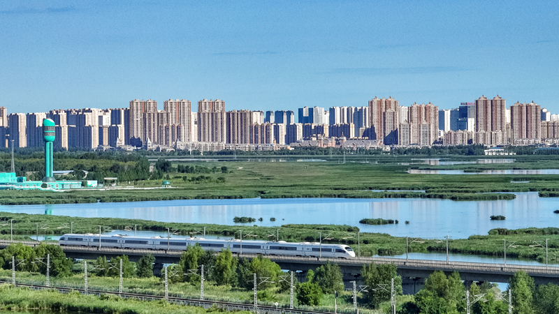 2025年8月17日，一列動(dòng)車組列車駛過(guò)大慶東站。