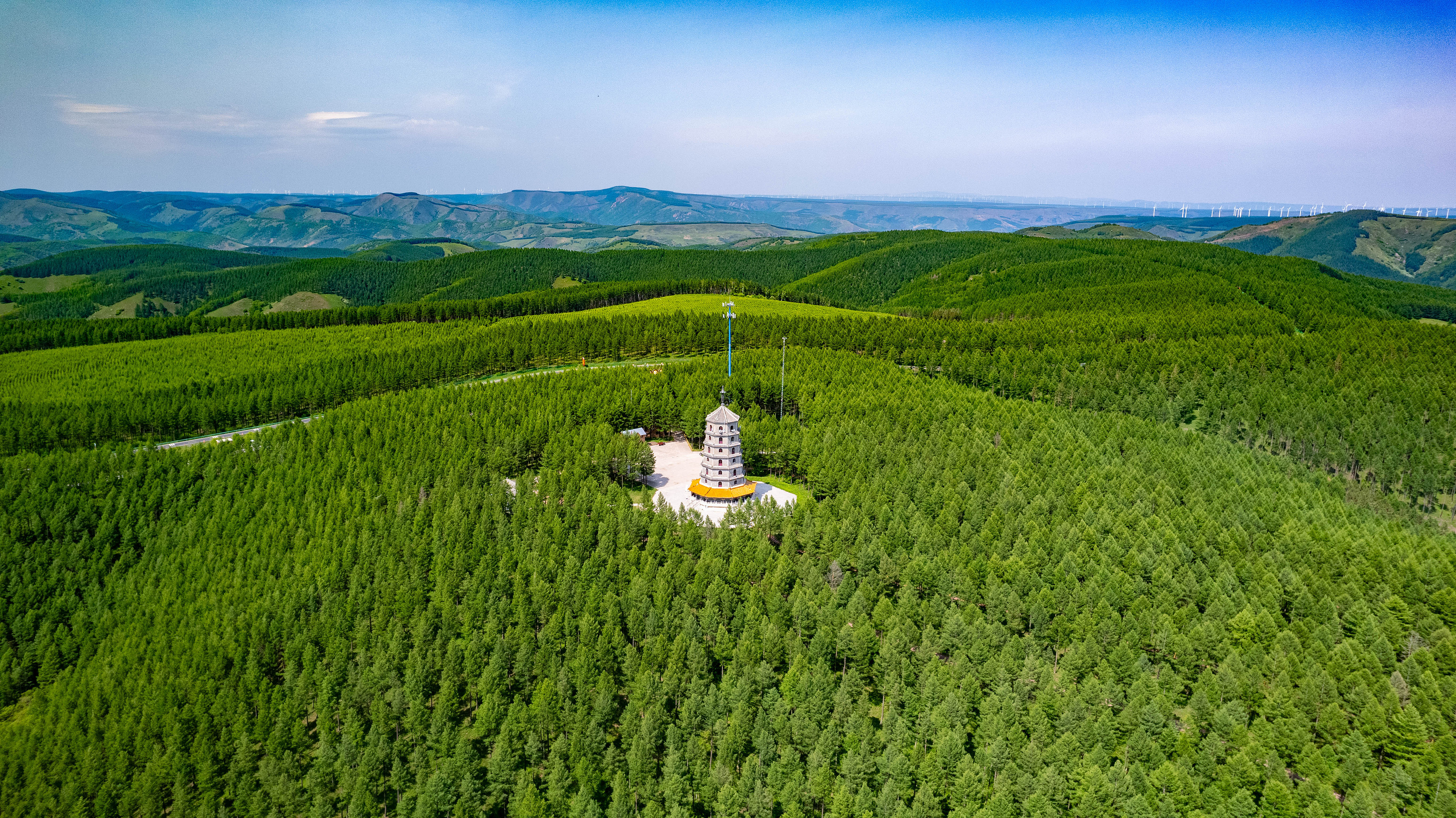 2025年6月11日，河北承德，塞罕壩林海浩渺。