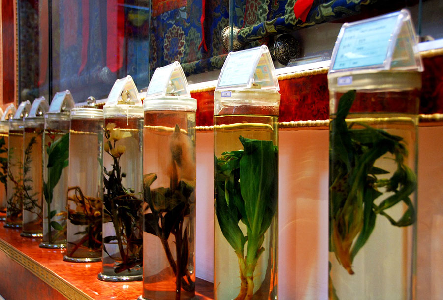 西藏山南藏醫(yī)醫(yī)院藏醫(yī)藥博物館的珍惜藏藥標??.jpg
