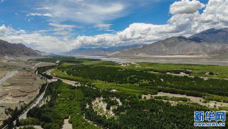 (環(huán)境)(1)雅江沿岸綠意濃