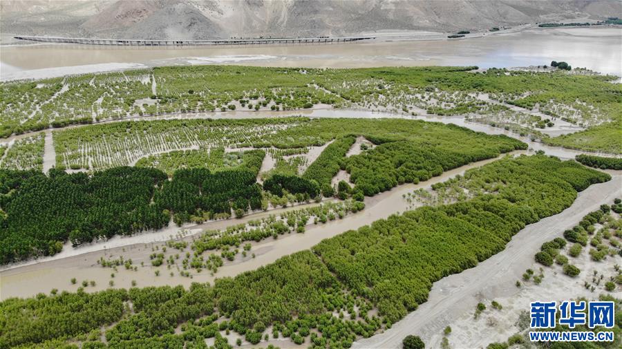 (環(huán)境)(2)雅江沿岸綠意濃